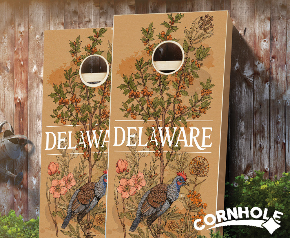 107-StateIllustrationMotif-Delaware-corncombrandedsetprodimg